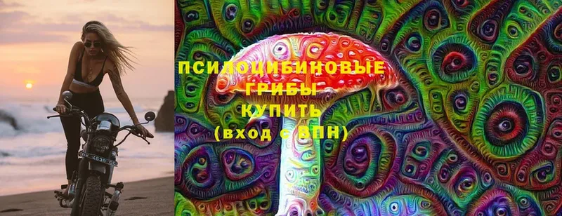 гидра как зайти  Карабаново  Галлюциногенные грибы Psilocybine cubensis 